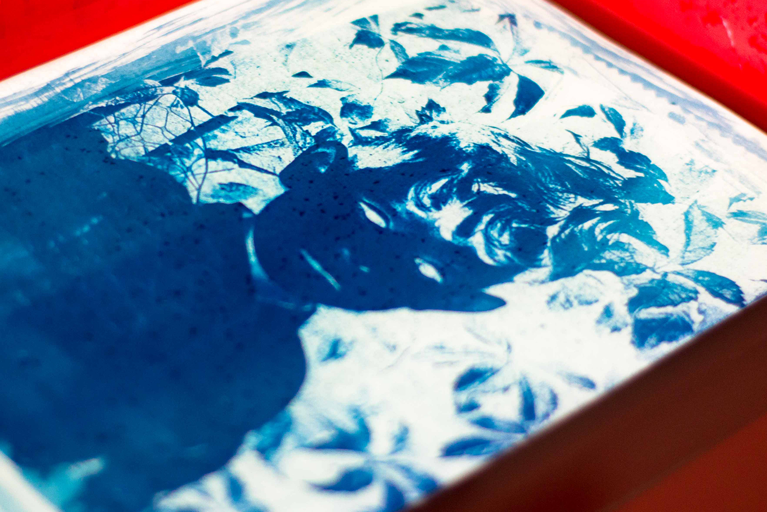 sin título (56 de 92)